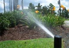 Sprinkler Repair Solana Beach - Lush and Fertile Garden