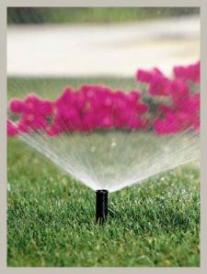 Solana Beach CA Sprinkler Reapir offer wide spread sprinkler